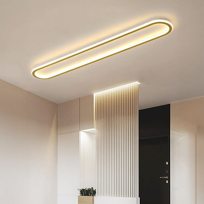 Stylish Hallway LED Ceiling Fixture