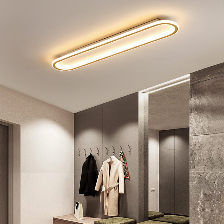 Stylish Hallway LED Ceiling Fixture