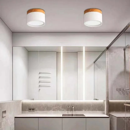 Bright Modern LED Ceiling Lamp for Home