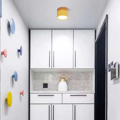 Bright Modern LED Ceiling Lamp for Home