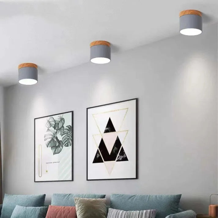 Bright Modern LED Ceiling Lamp for Home