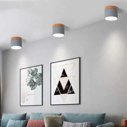 Bright Modern LED Ceiling Lamp for Home