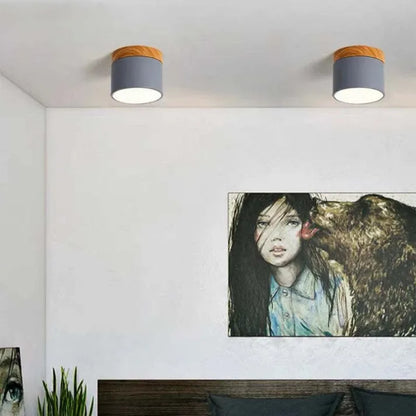 Bright Modern LED Ceiling Lamp for Home