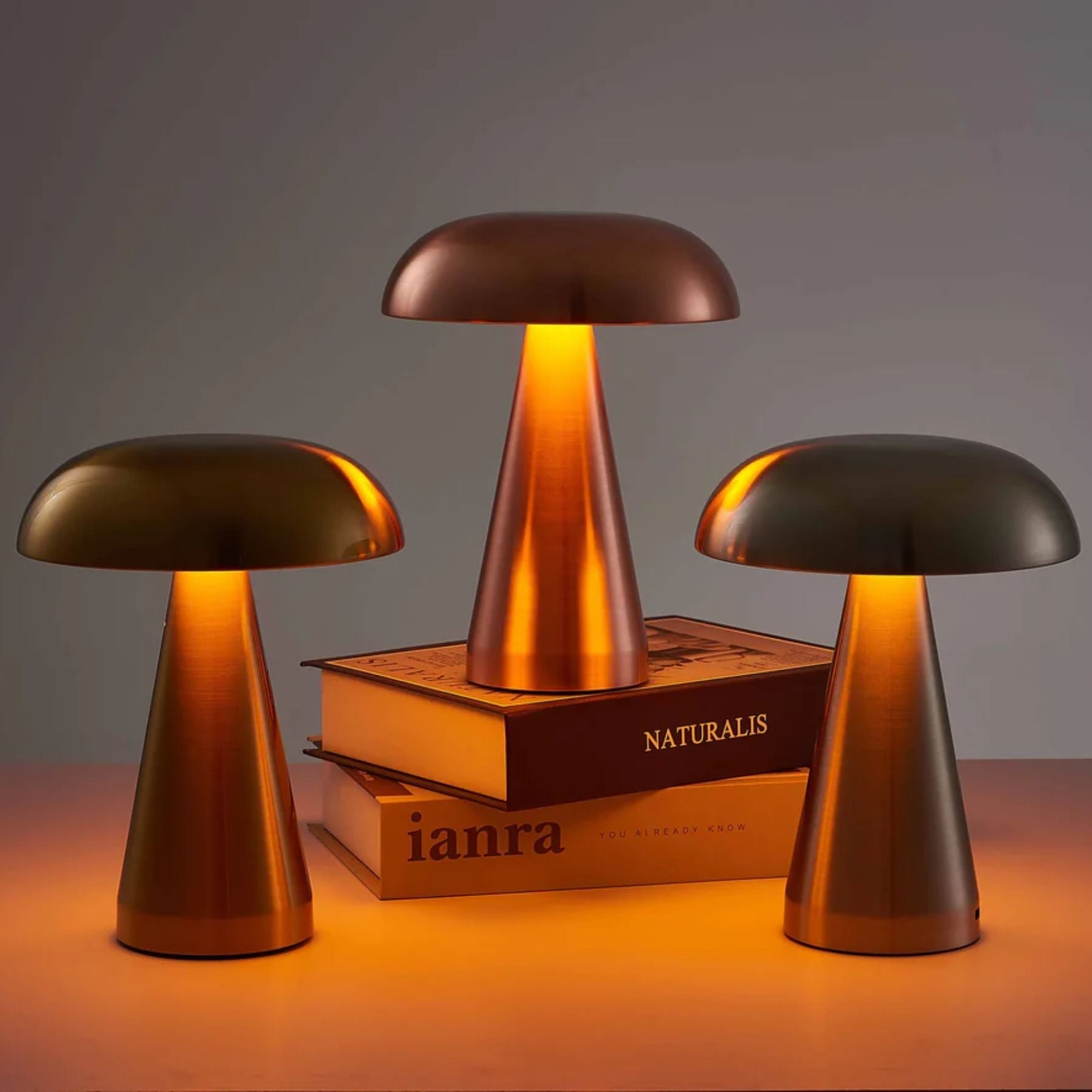 Moshi Table Lamp 1