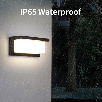 Outdoor Automatic Security Wall Lamp