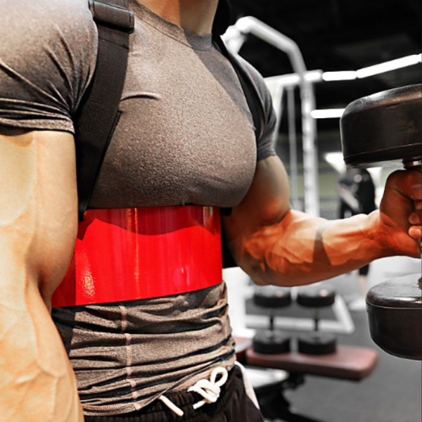 MuscleMax | Essential Bicep Tricep Isolation Arm Blaster 1