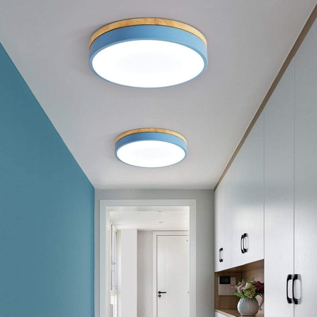 Naturalis | Elegant Warm Wood and Green Round Ceiling Lamp 9