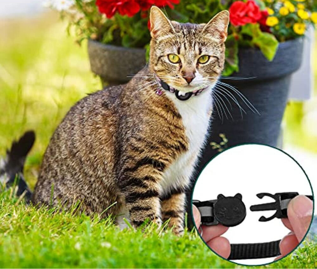 Safe Glow Pet GPS Tracking Cat Collar