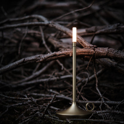 Contemporary LED Table Lamp - Portable Dimmable Light