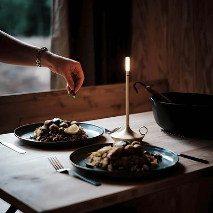 Contemporary LED Table Lamp - Portable Dimmable Light