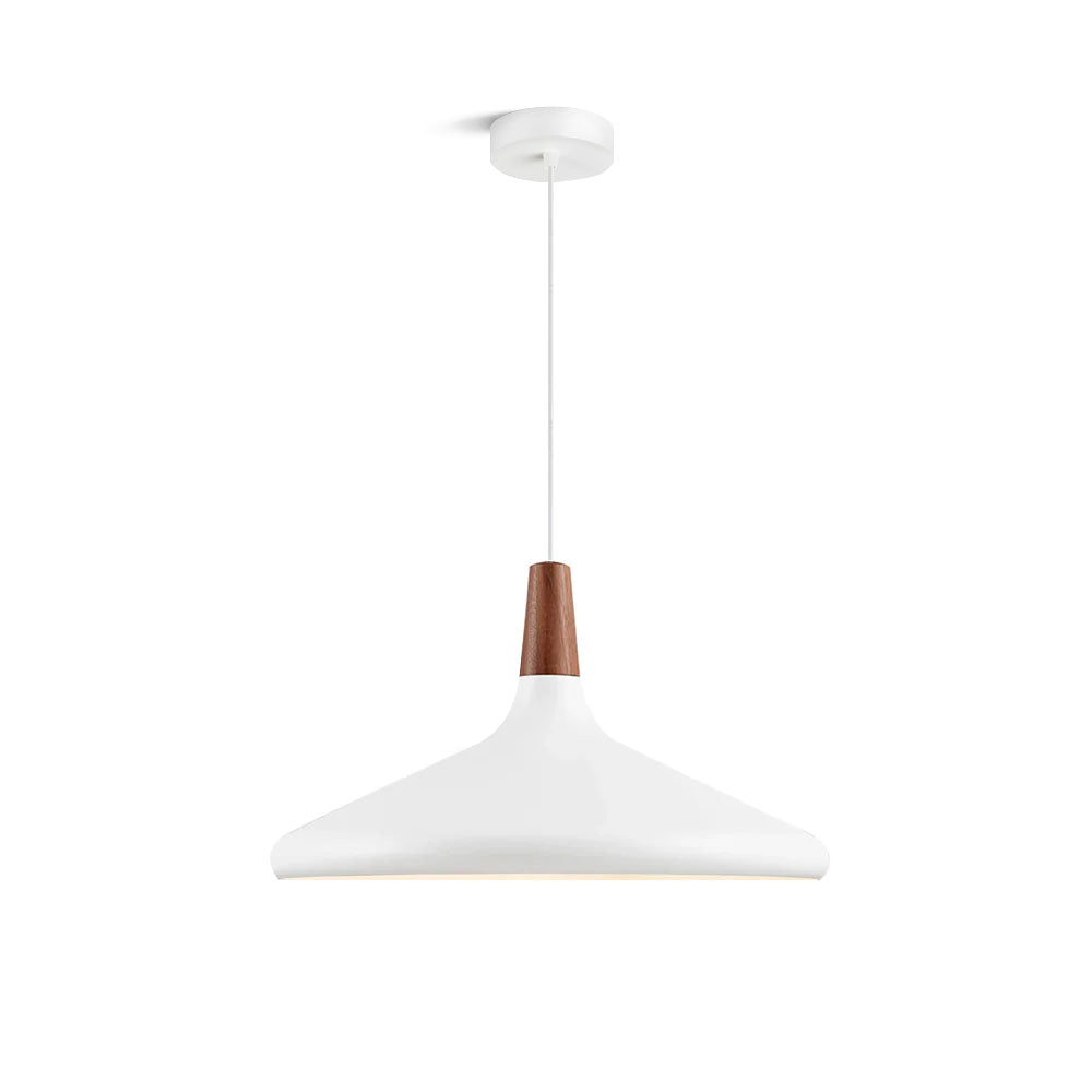Stylish Pendant Light for Living Room