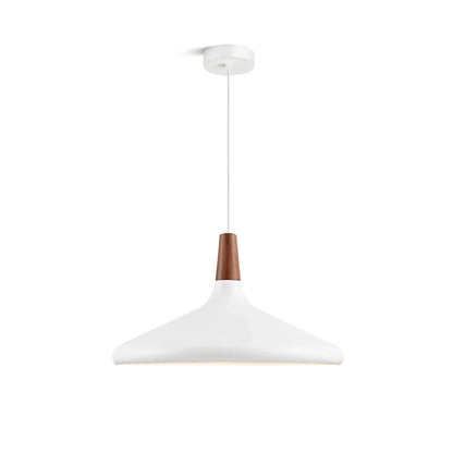 Stylish Pendant Light for Living Room
