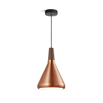 Stylish Pendant Light for Living Room