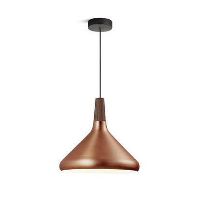 Stylish Pendant Light for Living Room