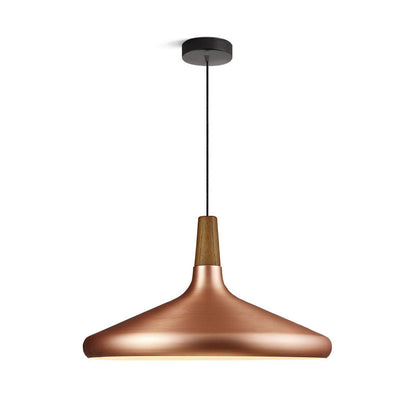Stylish Pendant Light for Living Room