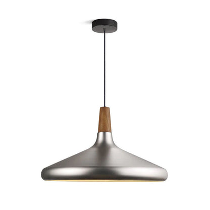 Stylish Pendant Light for Living Room