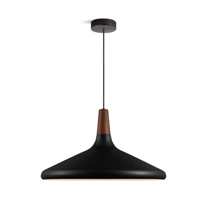 Stylish Pendant Light for Living Room