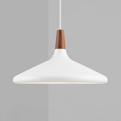 Stylish Pendant Light for Living Room