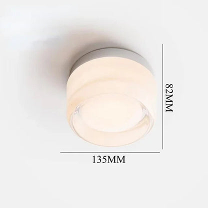 Circular LED Mounted Light Fixture