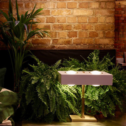 OrganicLuxe - Stylish Lamp with Natural Design and Gentle Glow 8