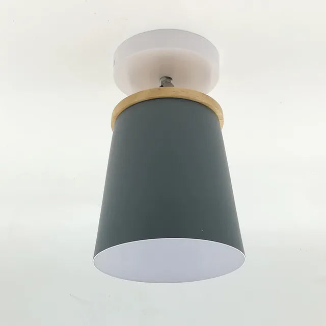 Soft White Pendant Ceiling Lamp