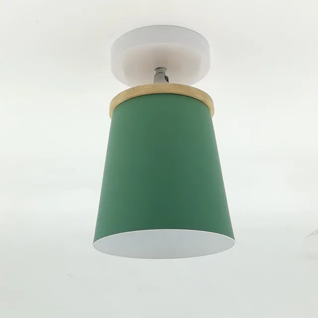 Soft White Pendant Ceiling Lamp