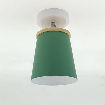 Soft White Pendant Ceiling Lamp