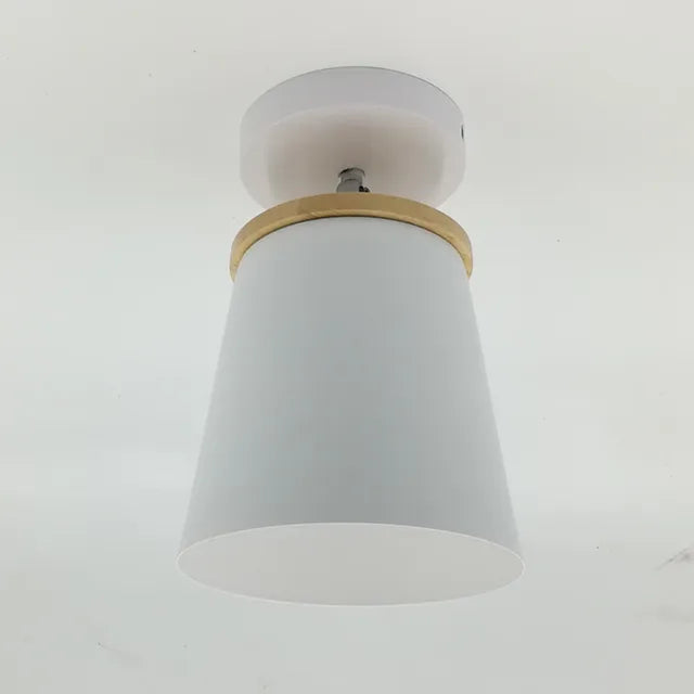 Soft White Pendant Ceiling Lamp