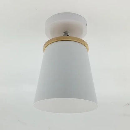 Soft White Pendant Ceiling Lamp