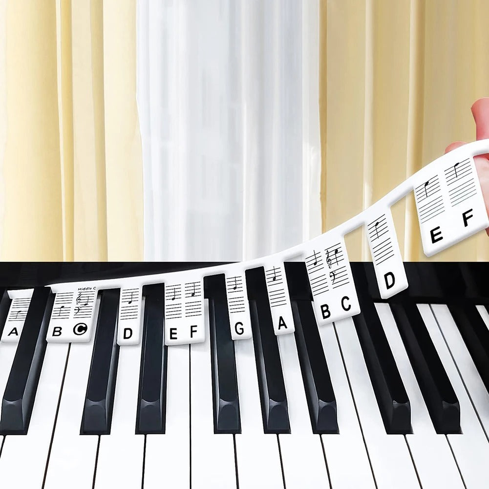 Colorful Piano Key Stickers for Beginners Learn Music Fast