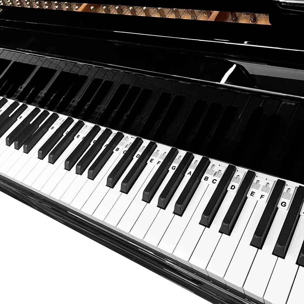 Colorful Piano Key Stickers for Beginners Learn Music Fast