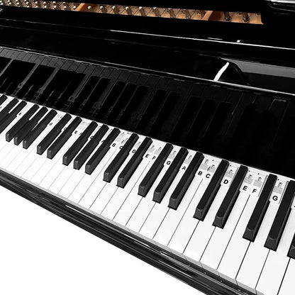 Colorful Piano Key Stickers for Beginners Learn Music Fast