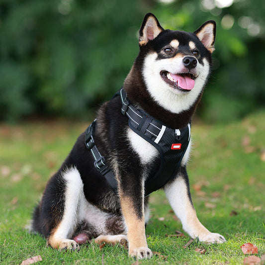 Safe Adjustable Padded Dog Vest - Lusomart