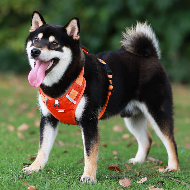 PawGuard | Comfortable Adjustable Reflective Dog Harness 1