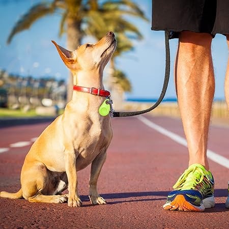 PawLocator | Bluetooth GPS Tracking Device for Pets 2