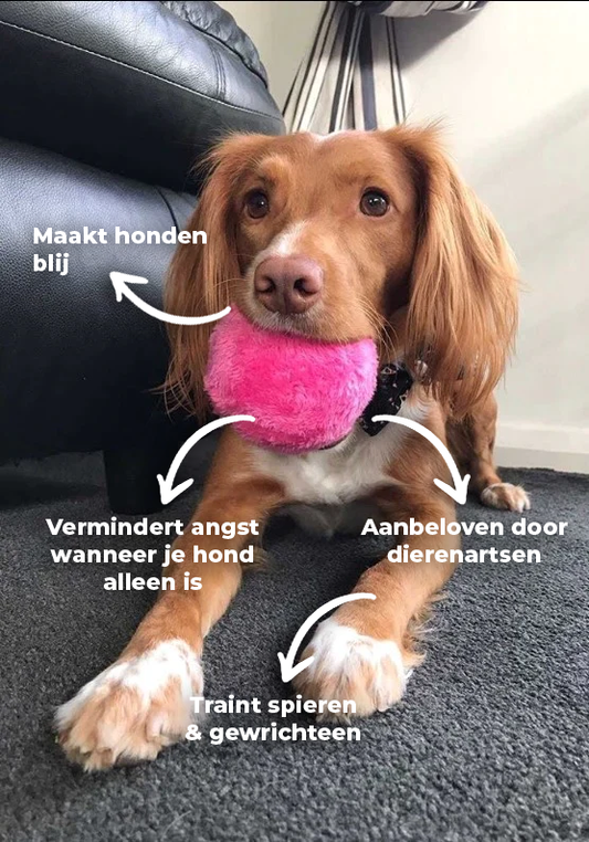 Fun Interactive Dog Ball Toy - Lusomart