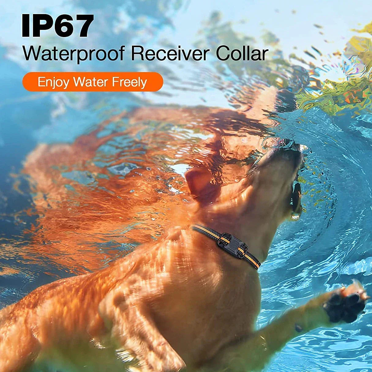 Waterproof Remote Control Dog Training Collar Outdoor