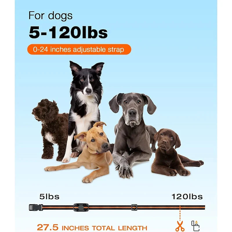 Waterproof Remote Control Dog Training Collar Outdoor