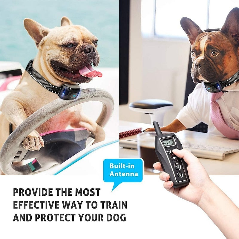 Humane Dog Training Collar with Remote Control