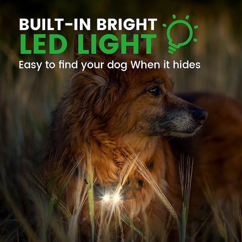 Advanced Dog Training Collar with LED Light