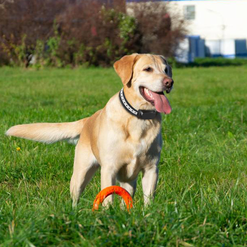 Pet Safe Wireless Dog Fence Containment System