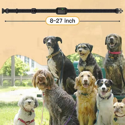 Advanced Waterproof Dog Training Collar Adjustable
