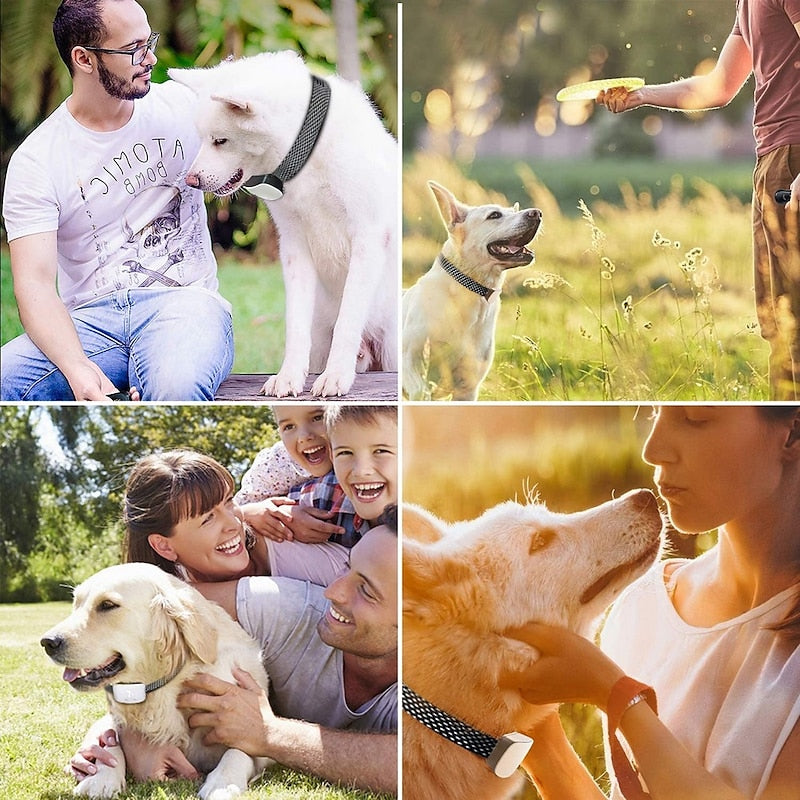 Waterproof Rechargeable Anti Bark Dog Collar