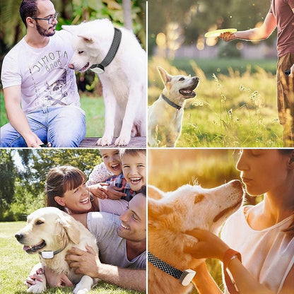 Waterproof Rechargeable Anti Bark Dog Collar