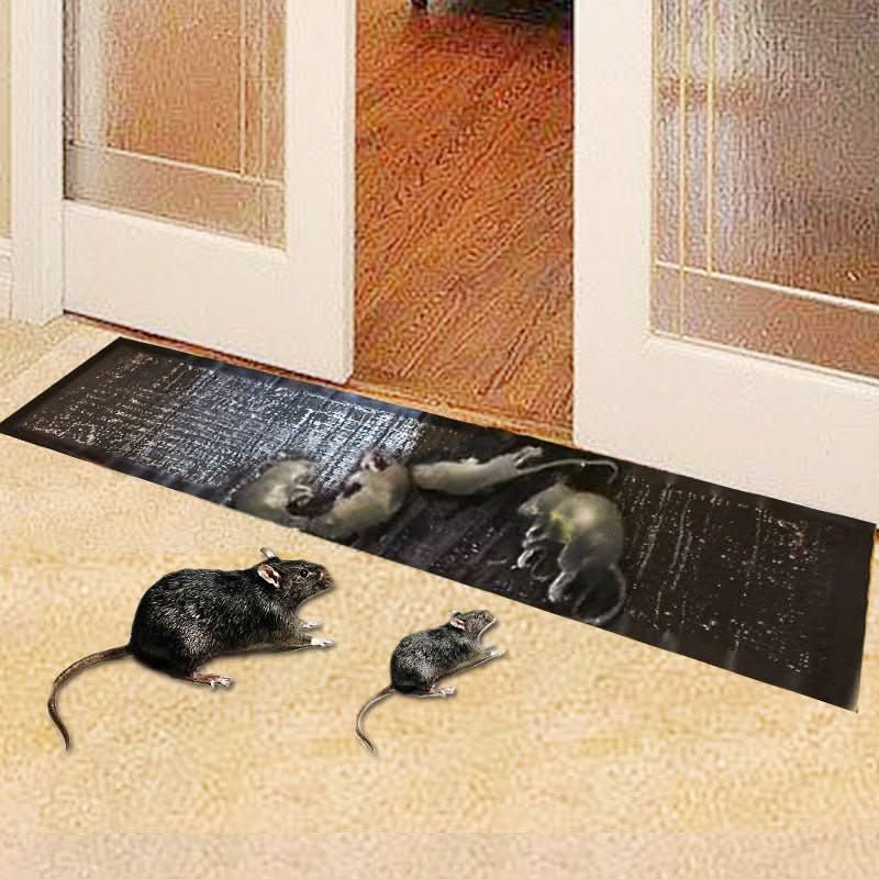 PestShield | Effective Non-Toxic Large Glue Trap for Rodent and Insect Control 1