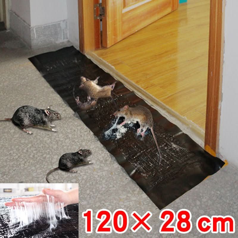 PestShield | Effective Non-Toxic Large Glue Trap for Rodent and Insect Control 5