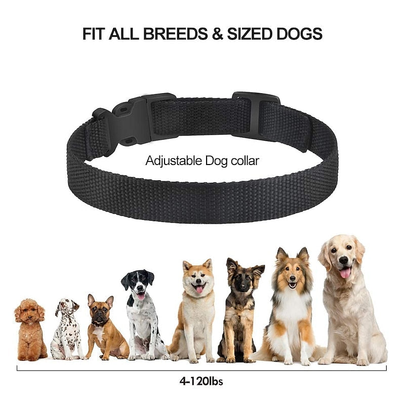 Effective Anti Bark Dog Training Collar for All Dogs