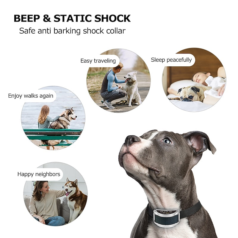 Effective Anti Bark Dog Training Collar for All Dogs
