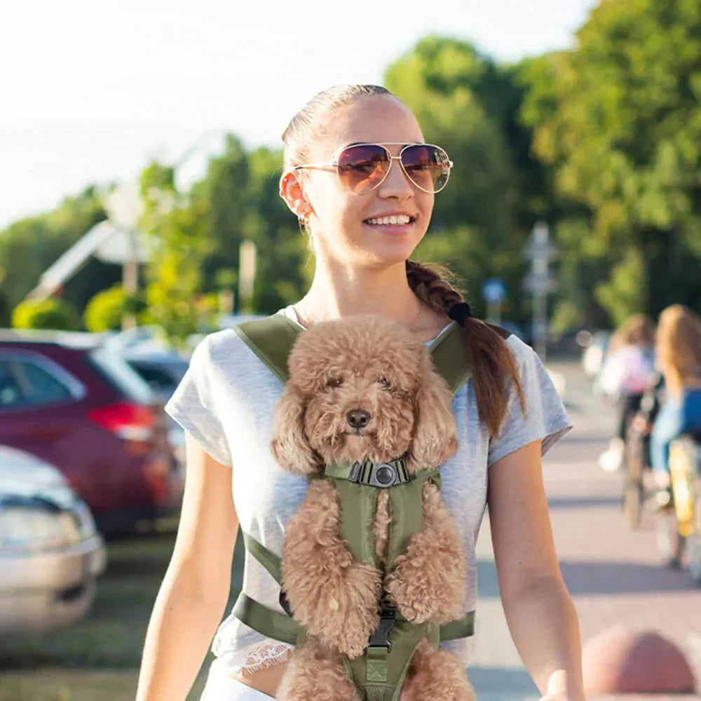 Petcarry - Hands-Free Dog Carrier Backpack for Comfortable Travel & Easy Mobility 2