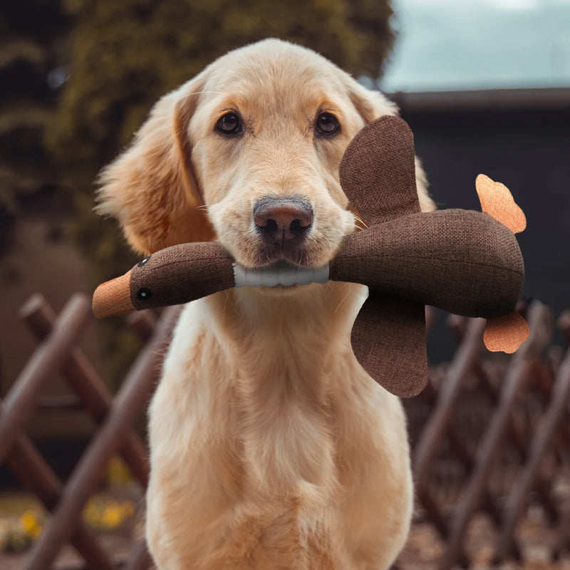 PetraPaw | Durable Eco-Friendly Indestructible Dog Toy 1